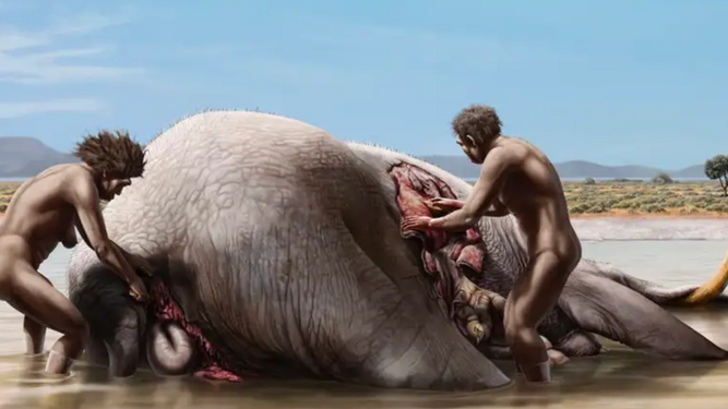 Homínidos cortando carne de elefante hace 1,2 millones de años para consumo