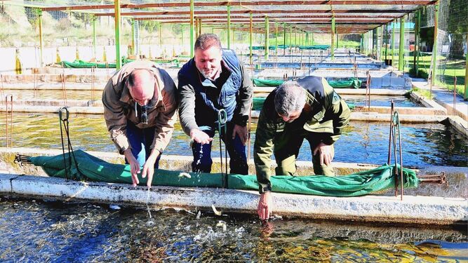 La Junta aborda medidas para la conservación de hábitats del cangrejo de río ibérico y de la trucha común