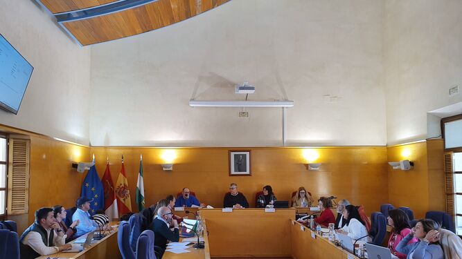 Pleno en el Ayuntamiento de Guadix