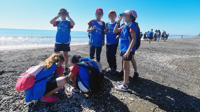 Escolares en la playa de la Misericordia.