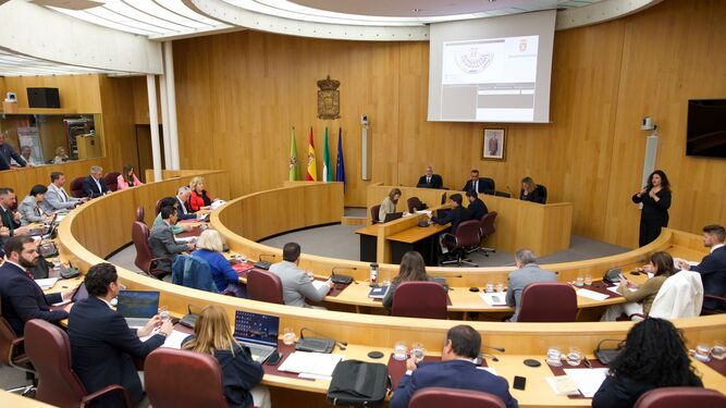 La Diputación de Granada cede dos inmuebles a la Asociación de Madres y Padres de Niños Oncológicos