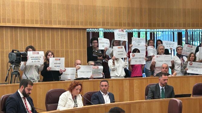 Izquierda Unida lamenta la negativa del PP en la Diputación a la moción para reclasificar los TCAE del Servicio Andaluz de Salud